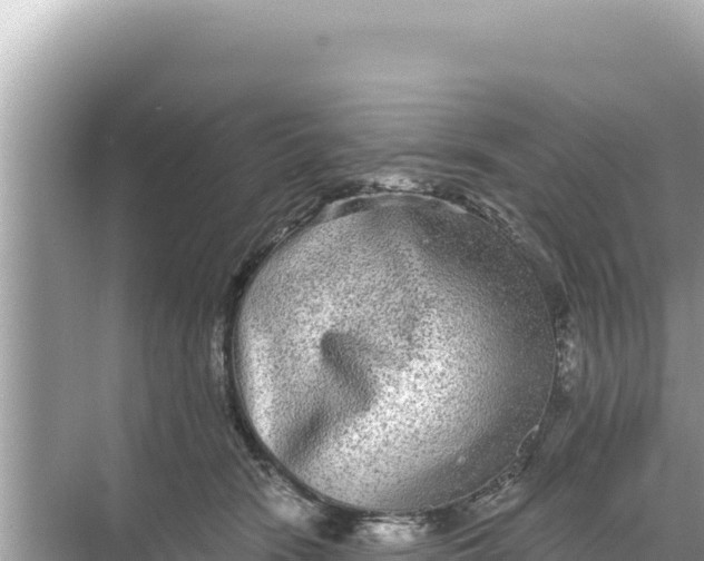 X0000068260466200605051753