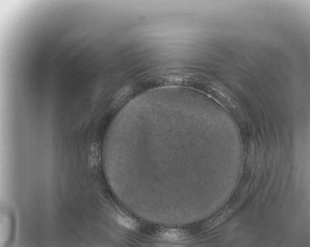 X0000068260467200605051753