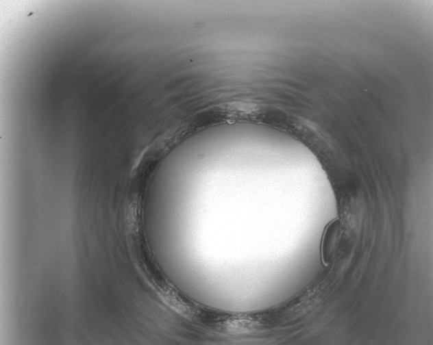 X0000068260468200605051754