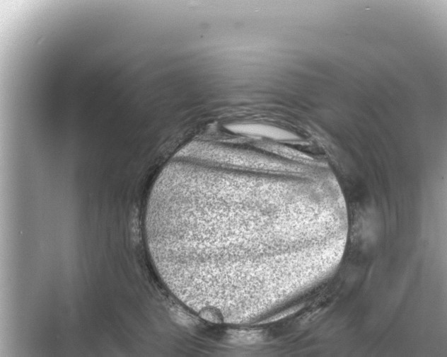 X0000068260469200605051754