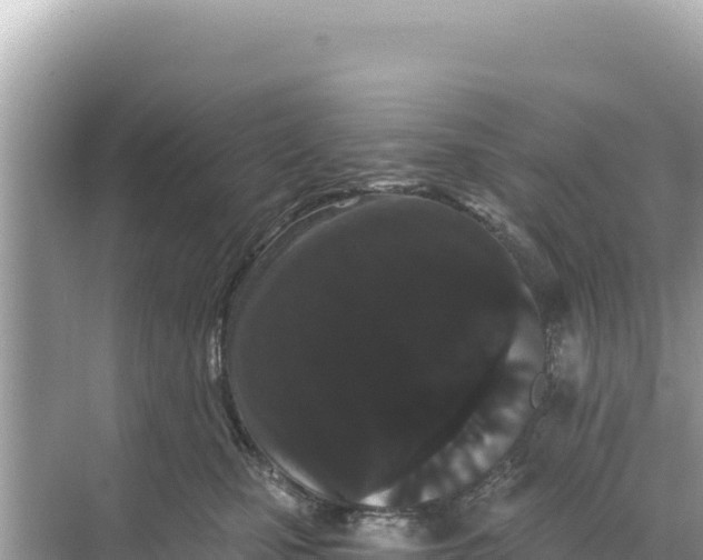 X0000068260471200605051754