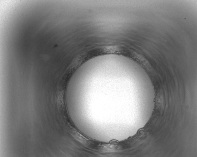 X0000068260473200605051754