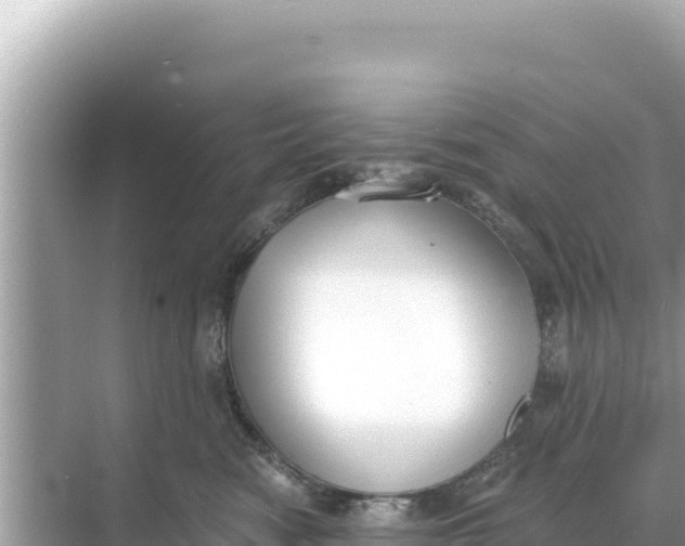 X0000068260474200605051754