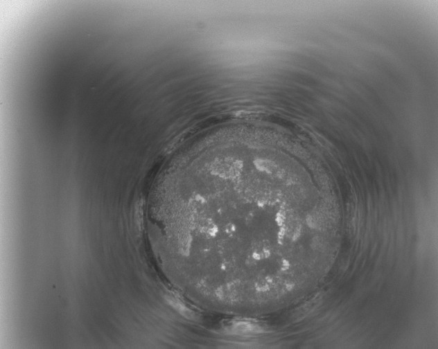 X0000068260475200605051754