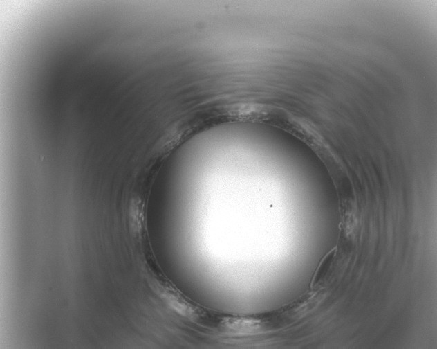 X0000068260476200605051754