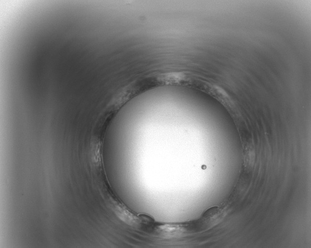 X0000068260477200605051754