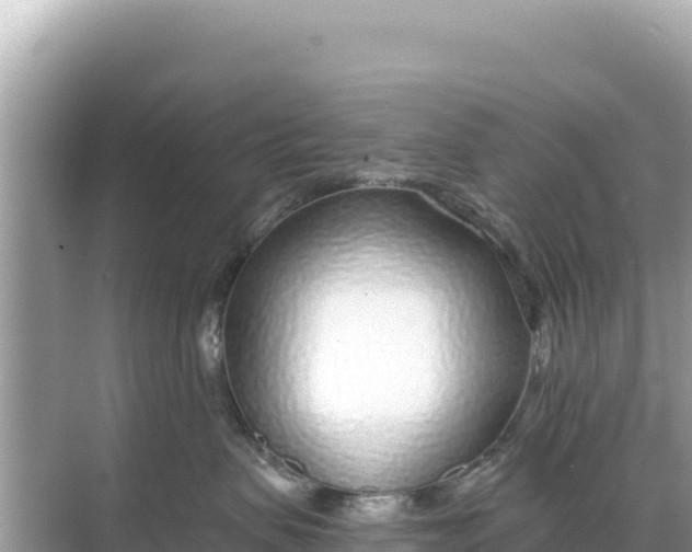 X0000068260479200605051754