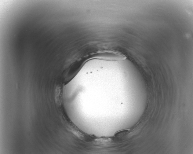 X0000068260480200605051754