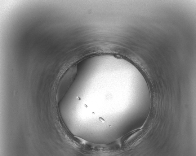 X0000068260481200605051753