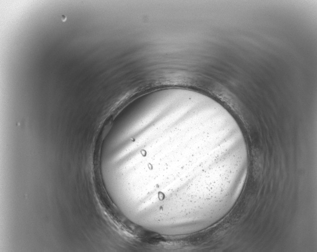 X0000068260482200605051753