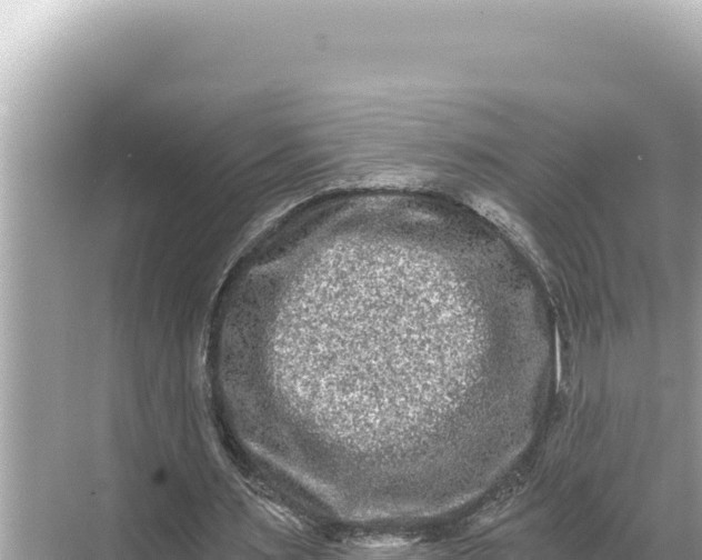 X0000068260483200605051753