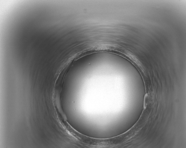 X0000068260485200605051753