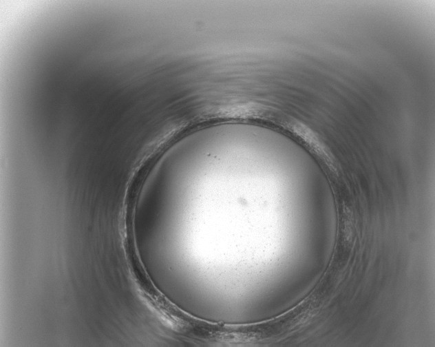 X0000068260486200605051753