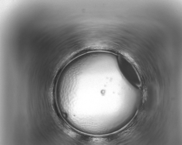 X0000068260487200605051753