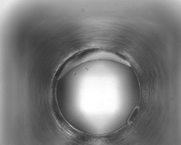 X0000068260488200605051753