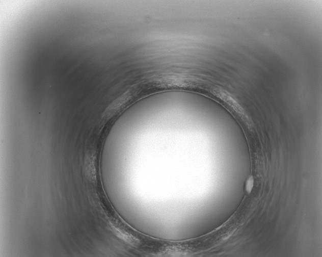 X0000068260489200605051753