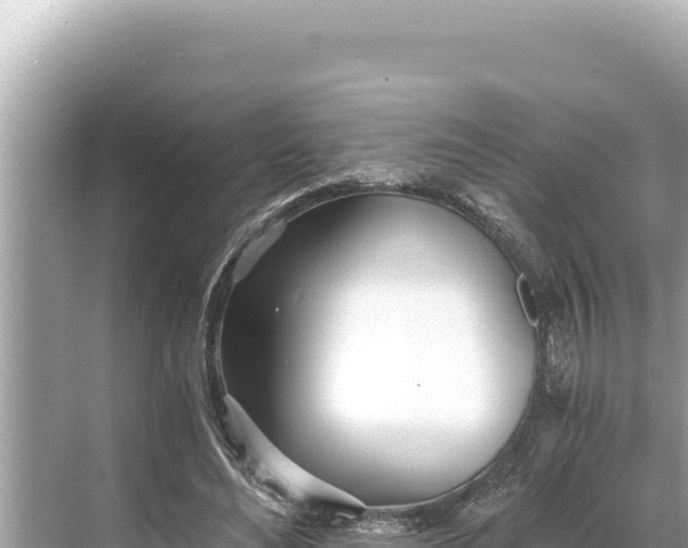 X0000068260492200605051753