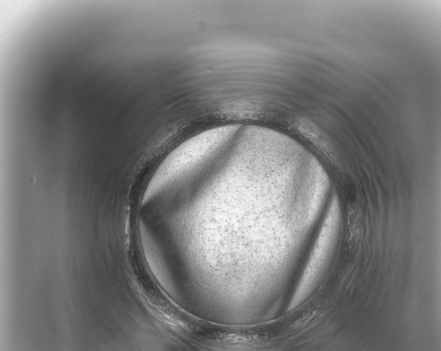 X0000068260494200605051753