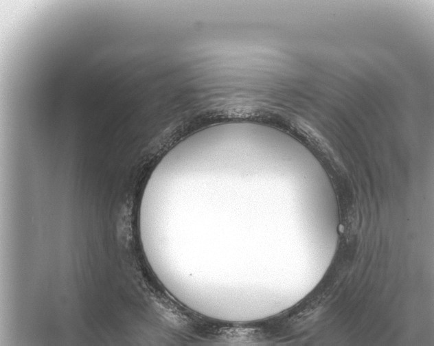 X0000068260497200605051753