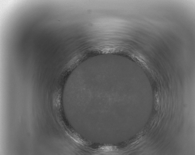 X0000068260499200605051753