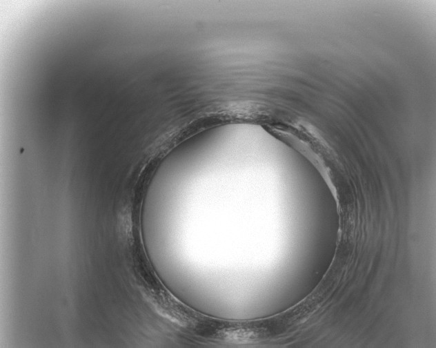 X0000068260500200605051753