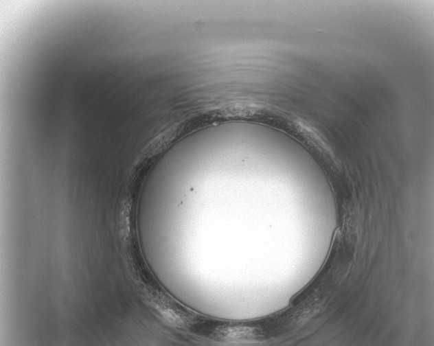 X0000068260501200605051753