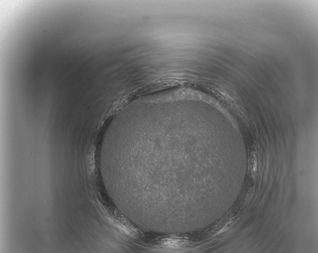 X0000068260504200605051753