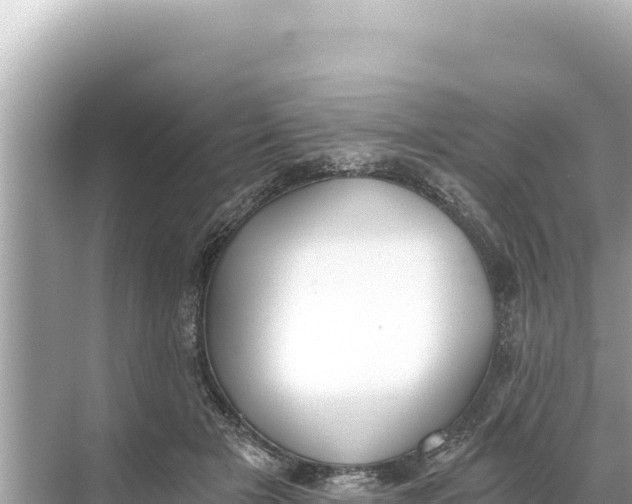 X0000068260505200605051752