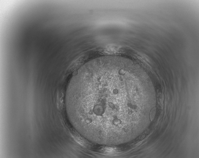 X0000068260507200605051752