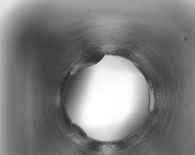 X0000068260508200605051752