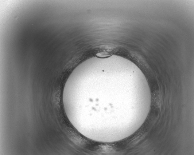 X0000068260509200605051752