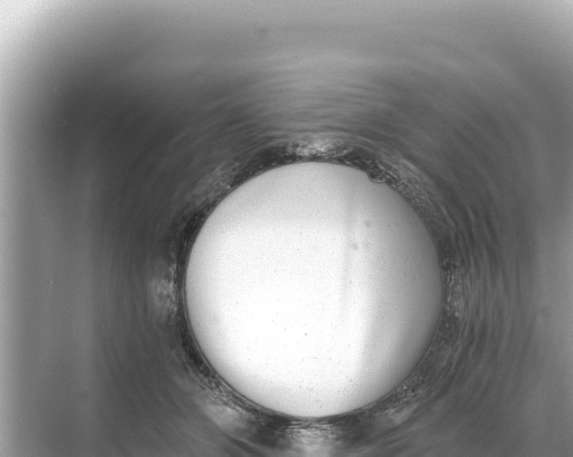 X0000068260510200605051752