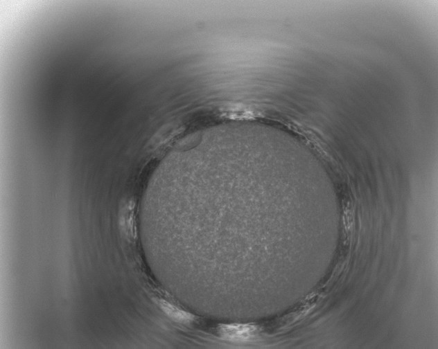 X0000068260511200605051752