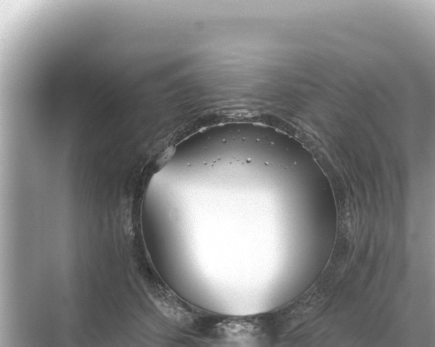 X0000068260512200605051752