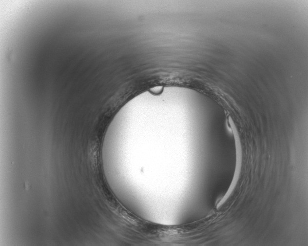 X0000068260513200605051752