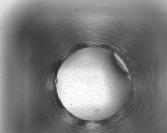 X0000068260515200605051752