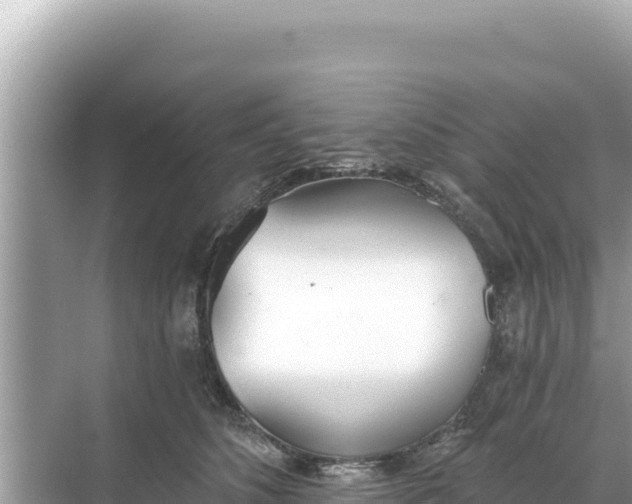 X0000068260516200605051752