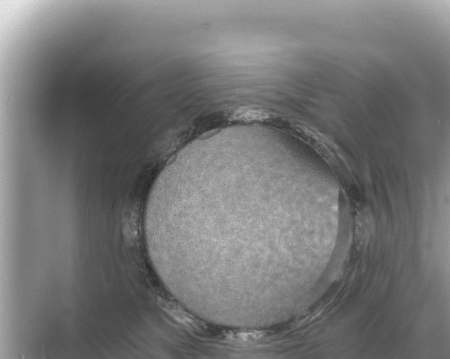 X0000068260517200605051752