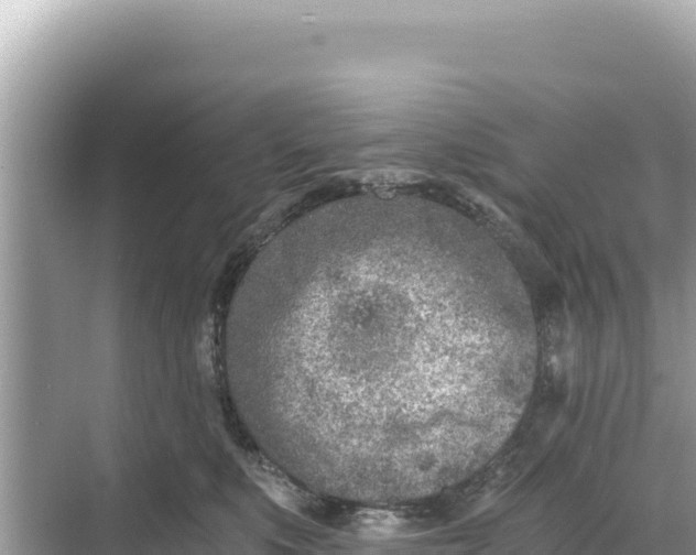 X0000068260519200605051752