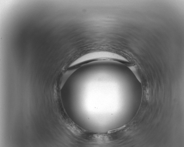 X0000068260520200605051752