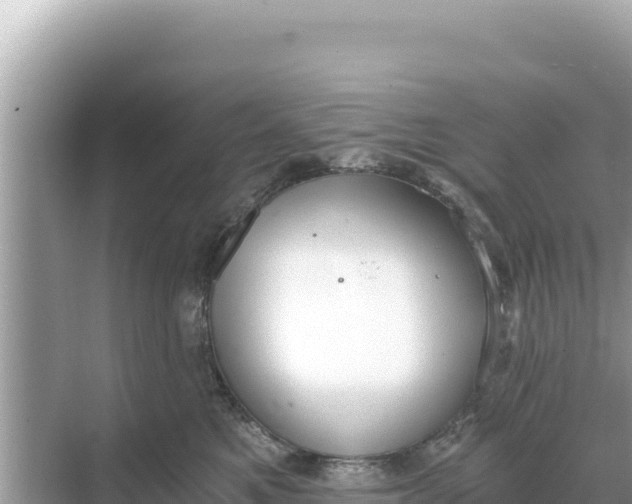 X0000068260521200605051752