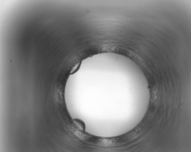 X0000068260522200605051752