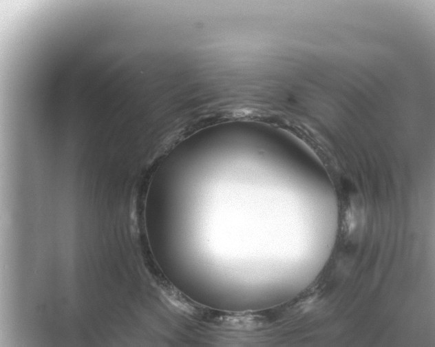 X0000068260524200605051752