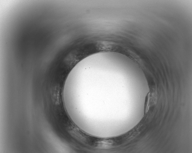 X0000068260525200605051752