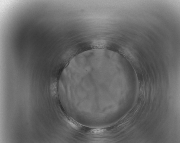 X0000068260526200605051752