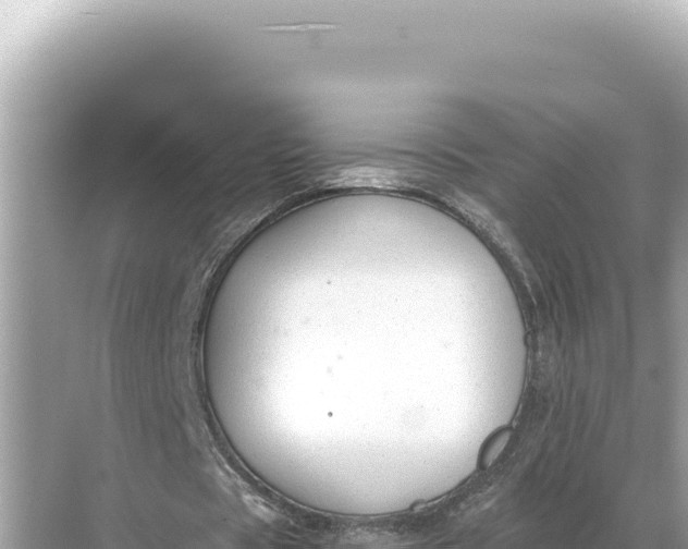 X0000068260529200605051751