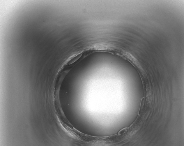 X0000068260530200605051751