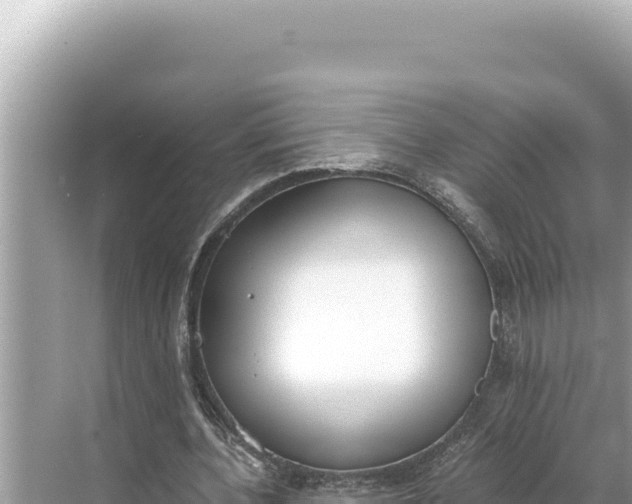 X0000068260532200605051751