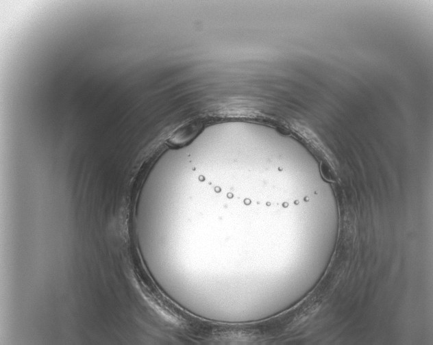 X0000068260533200605051751