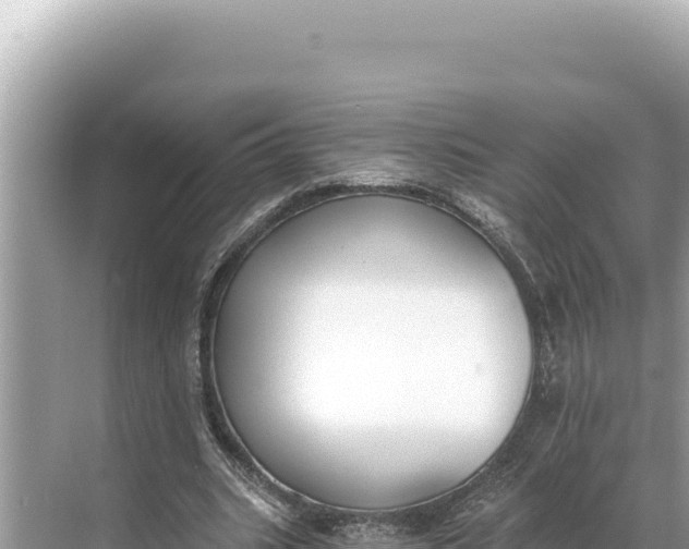 X0000068260535200605051751